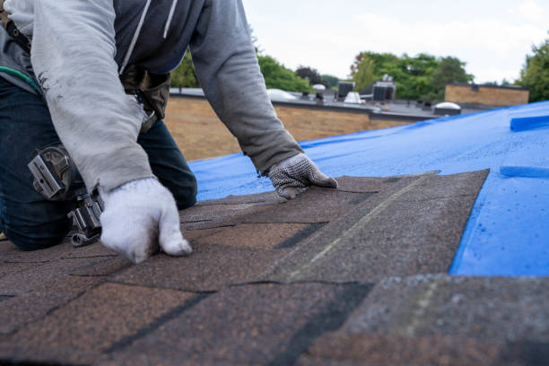 Best Storm Damage Roof Repair  in Sweeny, TX